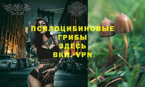 MESCALINE Зеленодольск