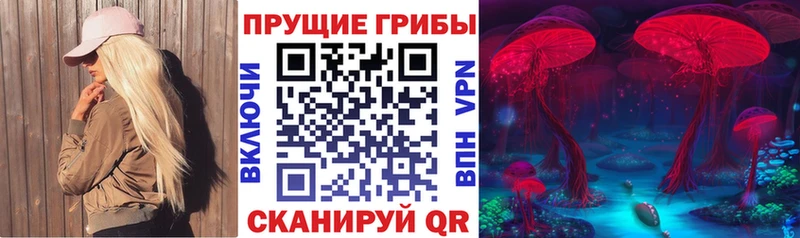 Купить где  Качканар  Галлюциногенные грибы Psilocybine cubensis 