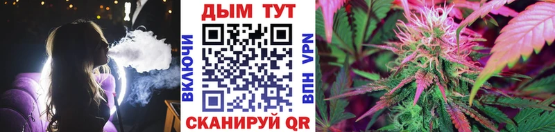 Бошки Шишки семена  Купить закладки  Качканар 